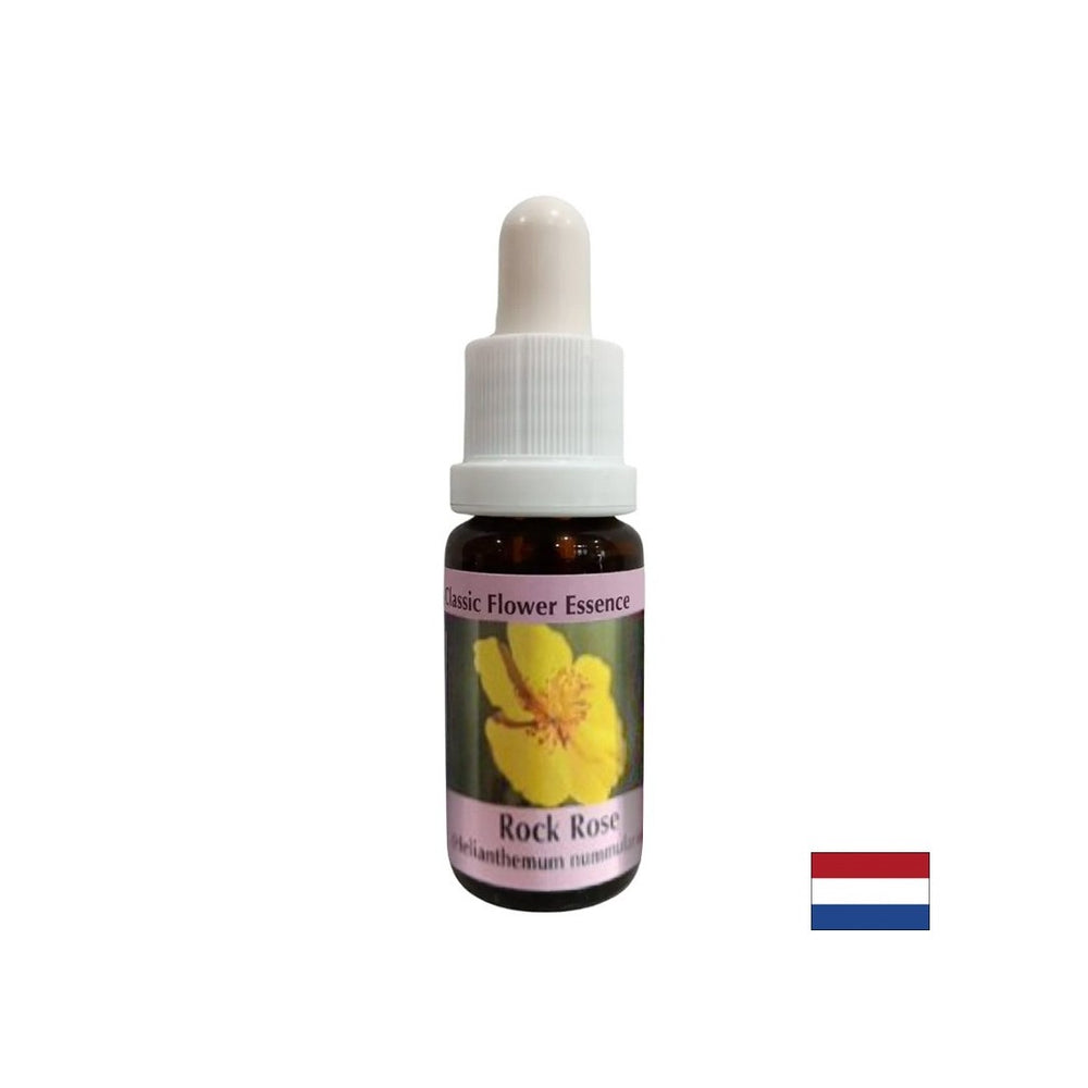 Clarifie l'esprit en cas de peur et de panique - Helianthemum Essence (jaune) n ° 26, laisse tomber 15 ml