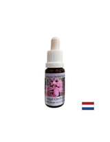 Élargit la conscience et améliore la communication - Angel Orchid Essence No. 3, laisse tomber 15 ml