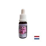 Élargit la conscience et améliore la communication - Angel Orchid Essence No. 3, laisse tomber 15 ml
