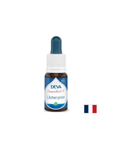 Détente, essence florale, bach méthode baisse n ° 7, 15 ml
