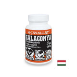 Système cardiovasculaire - aubépine (feuille et fleur), 550 mg x 60 capsules