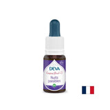 Nuits paisibles, la méthode bach baisse n ° 2, 15 ml