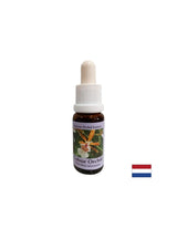 Stimule une attitude positive envers la vie - l'essence orchidée colorée n ° 7, laisse tomber 15 ml