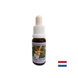 Stimule une attitude positive envers la vie - l'essence orchidée colorée n ° 7, laisse tomber 15 ml