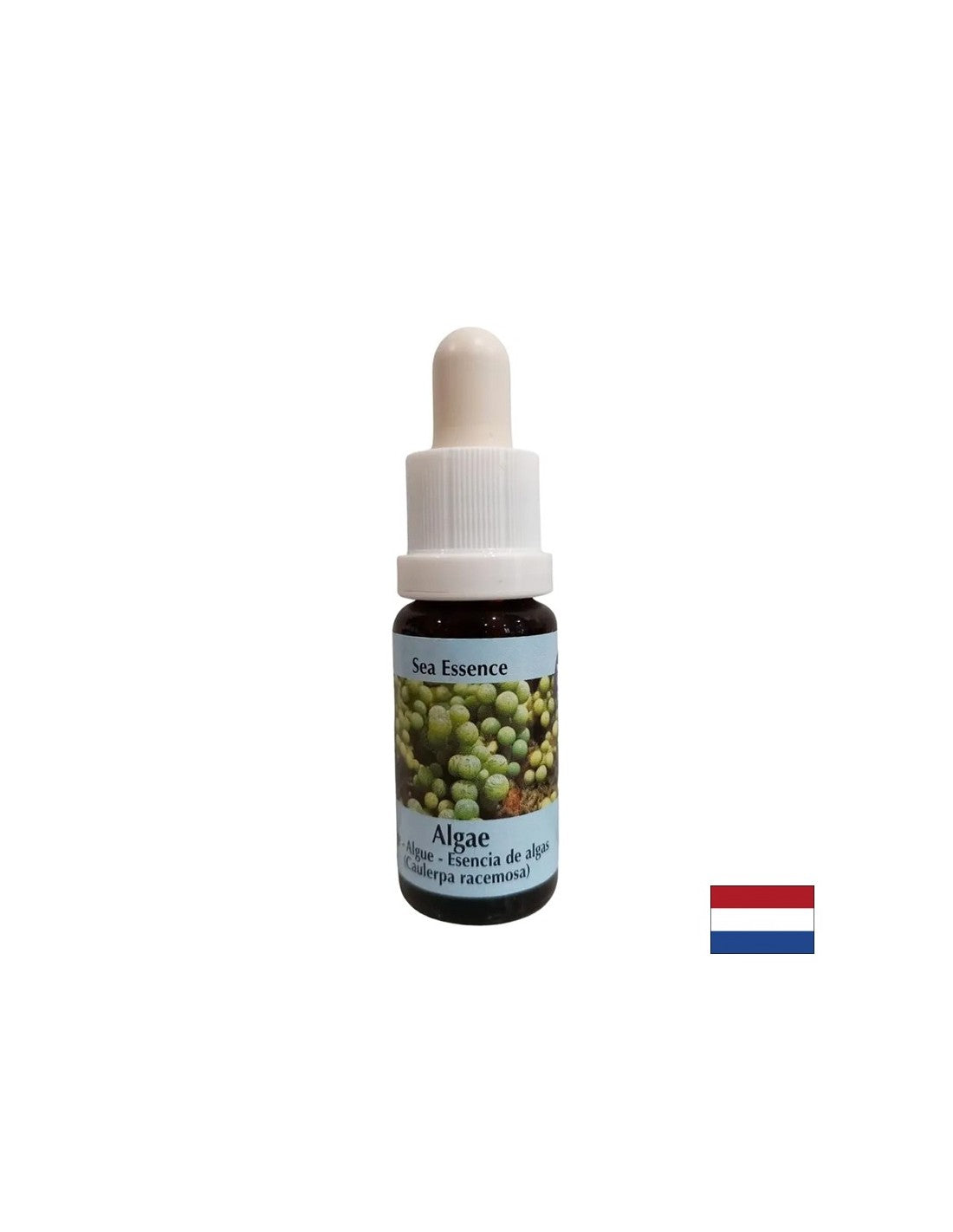 Stimule l'auto-guérison - Essence des algues n ° 1, laisse tomber 15 ml