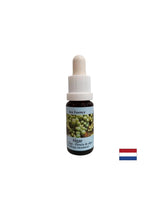 Stimule l'auto-guérison - Essence des algues n ° 1, laisse tomber 15 ml