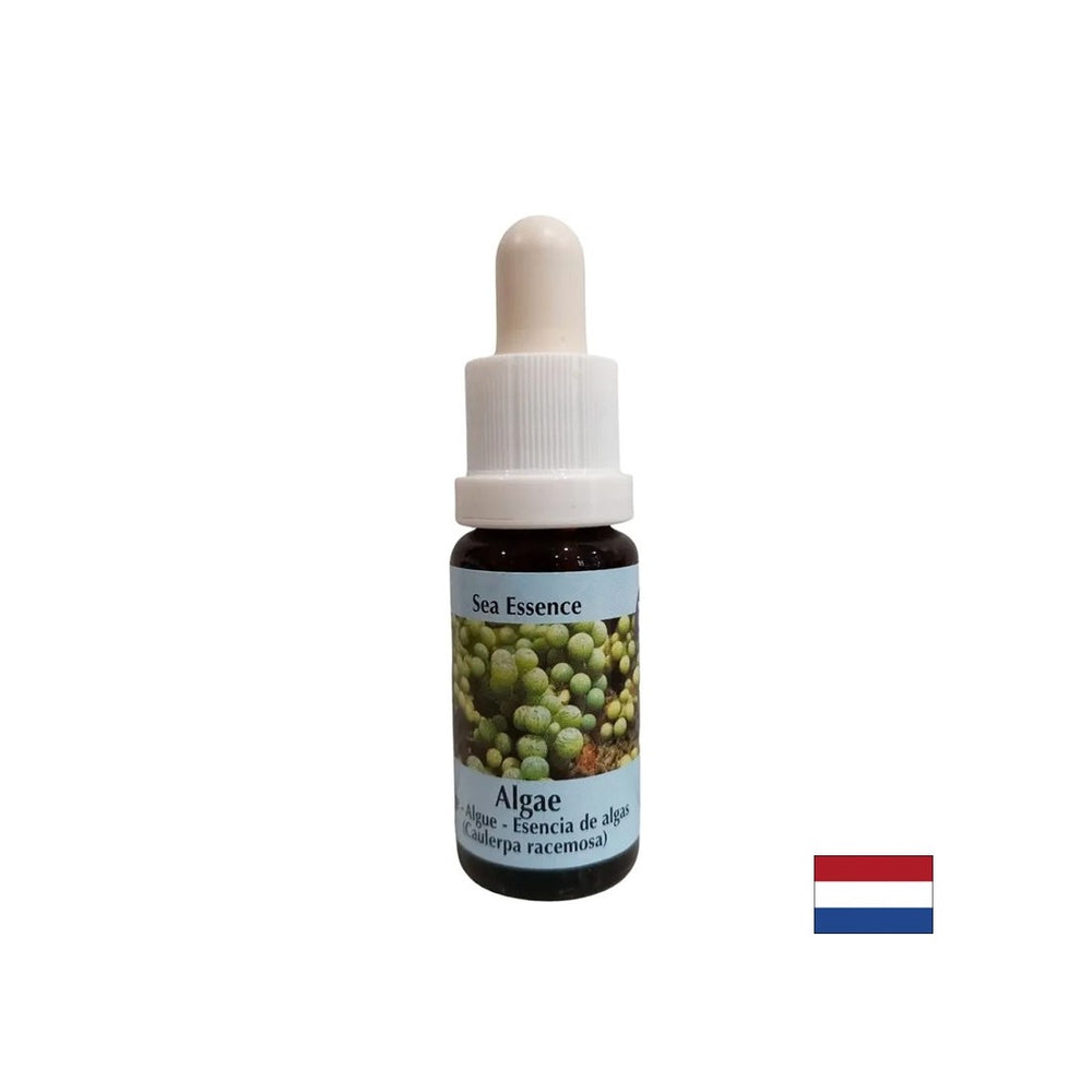 Stimule l'auto-guérison - Essence des algues n ° 1, laisse tomber 15 ml