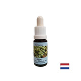 Stimule l'auto-guérison - Essence des algues n ° 1, laisse tomber 15 ml