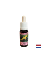 Stimule le changement conscient - le gui blanc d'essence n ° 12, laisse tomber 15 ml