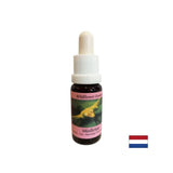 Stimule le changement conscient - le gui blanc d'essence n ° 12, laisse tomber 15 ml