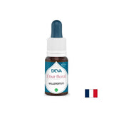 Stress et bonne humeur - Mur de St. John's, bach gouttes, 15 ml