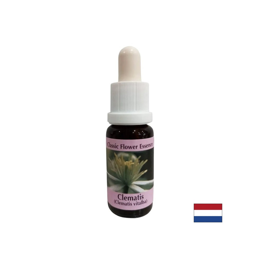 Relie le monde intérieur à la réalité - Essence povet n ° 9, laisse tomber 15 ml