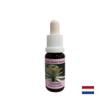 Relie le monde intérieur à la réalité - Essence povet n ° 9, laisse tomber 15 ml