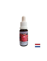Transforme l'égoïsme en amour - Orchid Heart Essence No. 12, laisse tomber 15 ml