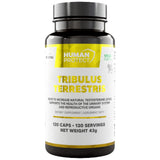 Tribulus terrestris 204 mg | avec 98% de saponines - 120 capsules