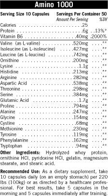 Amino 1000 500 Capsules