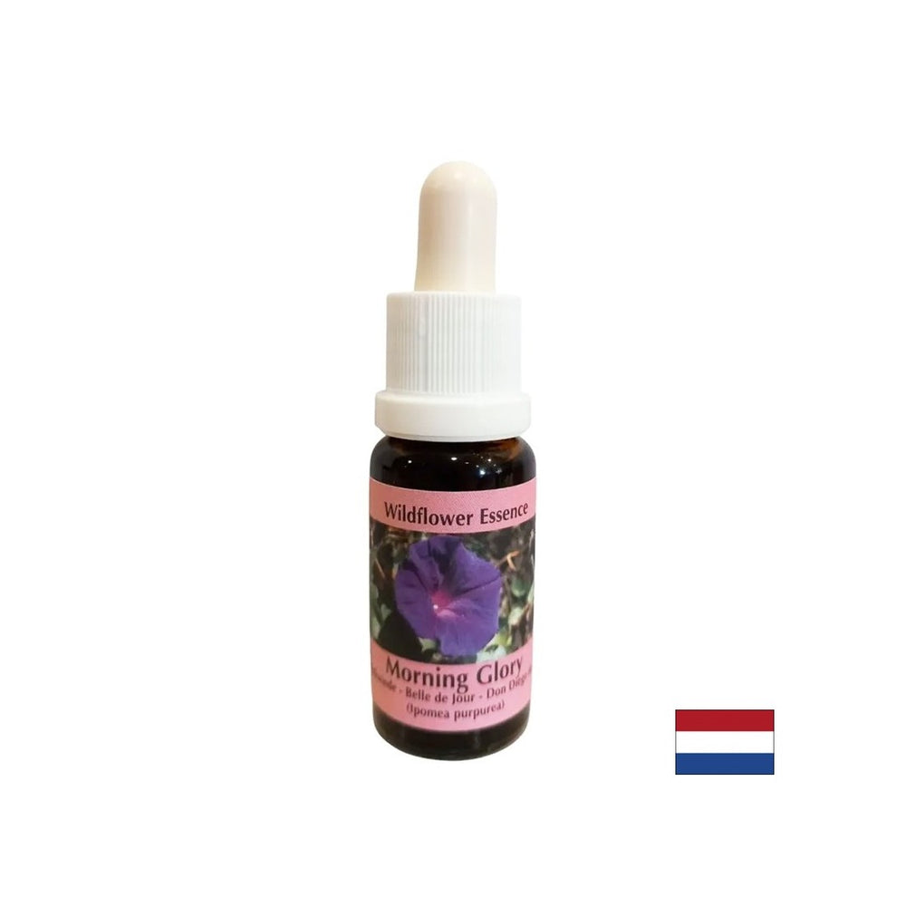 Calme l'anxiété et éradique les habitudes négatives - l'essence gramophone n ° 34, laisse tomber 15 ml