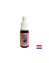 Calme et intègre le spirituel dans la vie quotidienne - l'essence de la lavande n ° 30, 15 ml de gouttes