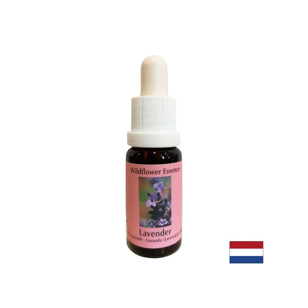 Calme et intègre le spirituel dans la vie quotidienne - l'essence de la lavande n ° 30, 15 ml de gouttes