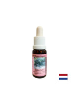 Calme le corps et l'esprit, aide à l'insomnie et au stress - l'essence de la valériane n ° 21, laisse tomber 15 ml