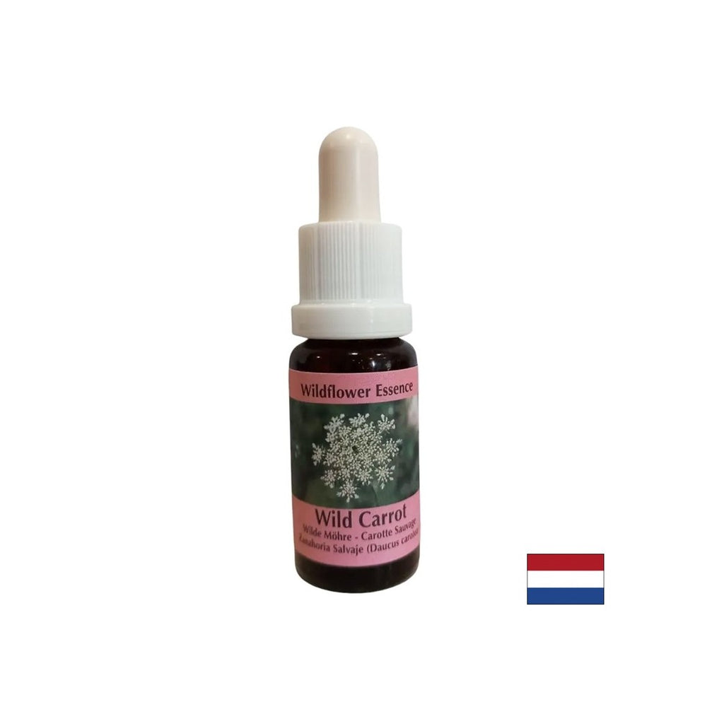 Calme l'esprit de l'esprit - Wild Carrot Essence, tombe 15 ml