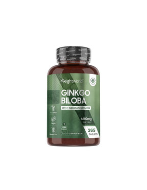 Brain function and circulation - Ginkgo biloba 120 mg + Siberian ginseng 24 mg, 365 tablets - Nutra Best Europe