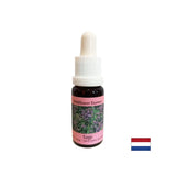 Restaure le rythme et prend en charge l'adaptation - Sage Essence n ° 36, laisse tomber 15 ml