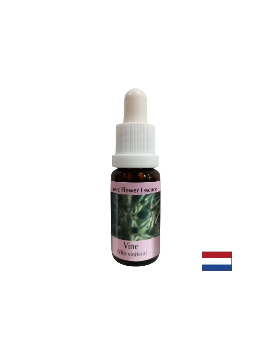 Pour contrôler l'égoïsme - Essence de raisin n ° 32, laisse tomber 15 ml