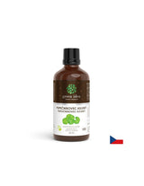 Pour la circulation sanguine, le système veineux et le cerveau - Gottu Kola, 50 ml de teinture