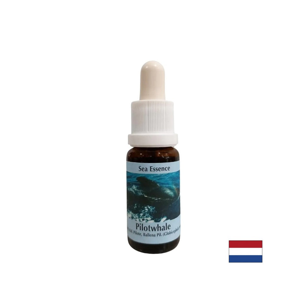 Pour la méditation - Essence Black Grind n ° 10, laisse tomber 15 ml