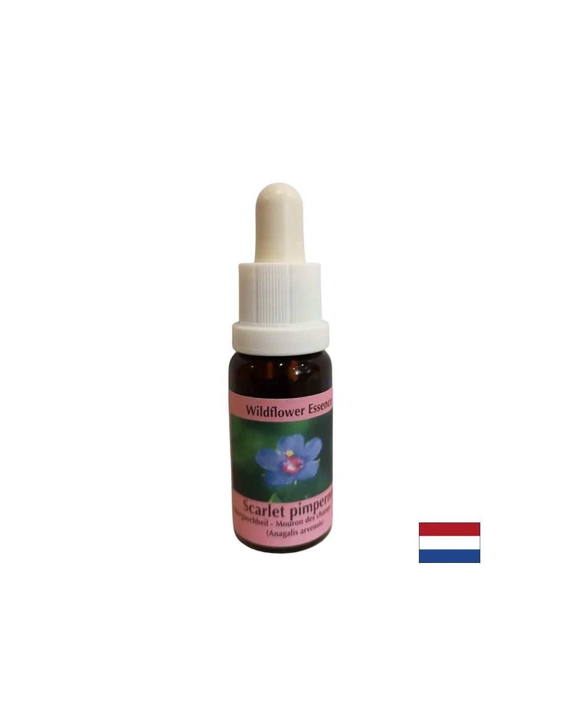 Pour la découverte de soi et l'intégration - Essence Polish Fireweed No. 21, laisse tomber 15 ml