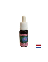 Pour la découverte de soi et l'intégration - Essence Polish Fireweed No. 21, laisse tomber 15 ml