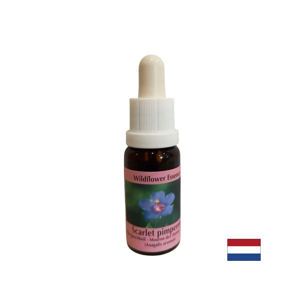 Pour la découverte de soi et l'intégration - Essence Polish Fireweed No. 21, laisse tomber 15 ml