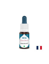 Pour l'expression verbale - Dogwood (Anttirrhinum), bach gouttes, 15 ml