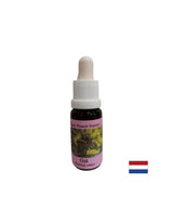 Dynamise - Oak Essence n ° 22, laisse tomber 15 ml