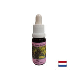 Dynamise - Oak Essence n ° 22, laisse tomber 15 ml