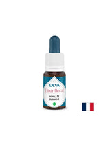 Protection et résilience émotionnelle - Yarrow, bach gouttes, 15 ml